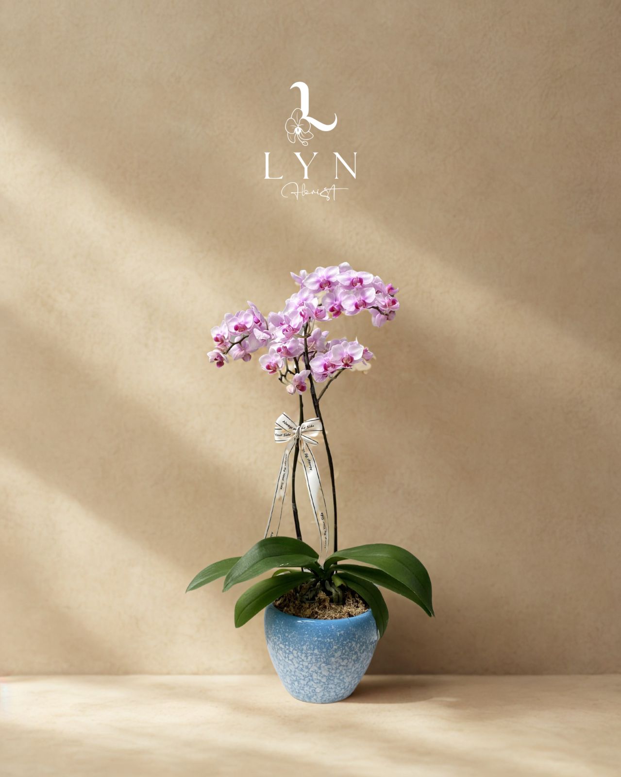 Chậu Hoa Lan Mini RRAA2-2V đơn